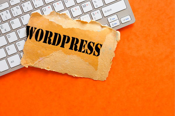 Otimizando WordPress: Plugins Essenciais para Aumentar a Velocidade do Seu Site